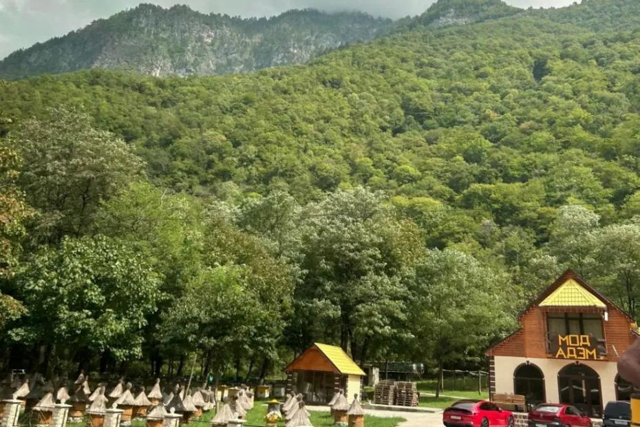 Сколько на самом деле зарабатывают местные в Абхазии - ахнула, когда узнала