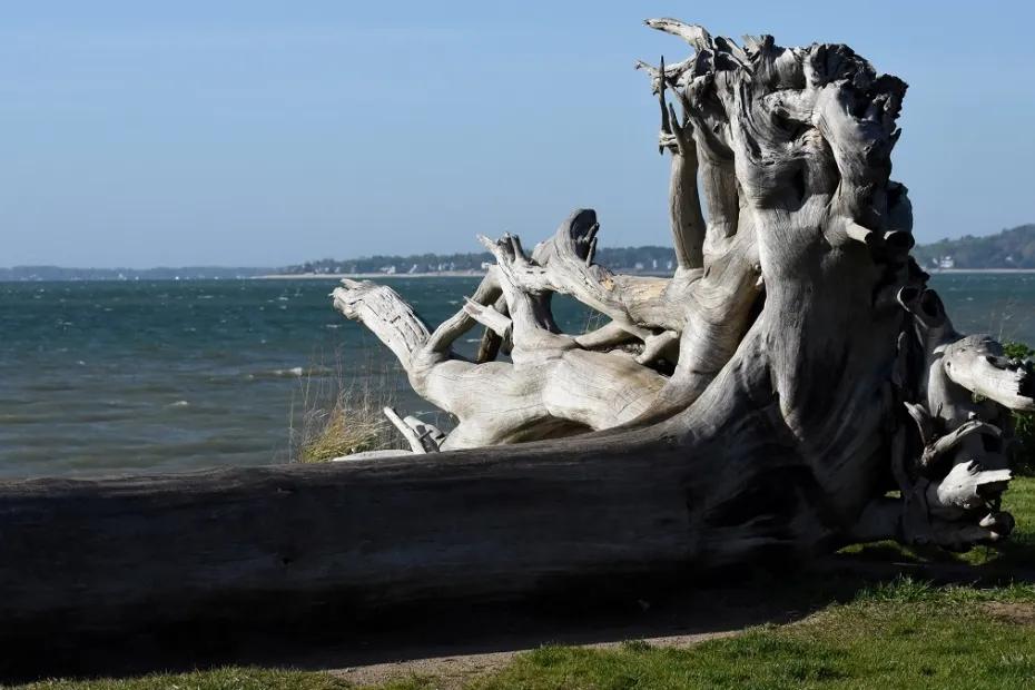 Город, в котором есть памятник рыбе: &laquo;цементная столица&raquo; России - где находится, что посмотреть