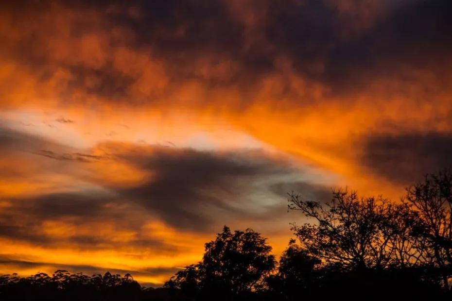 Синоптики дали подробный прогноз для России: лето будет самым необычным за 250 лет