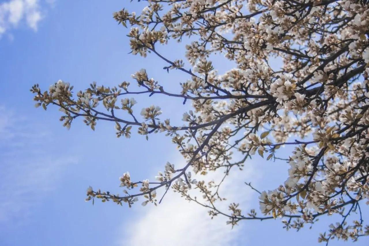 Погода в мае удивит: синоптики резко изменили прогноз - чего ждать по всей России