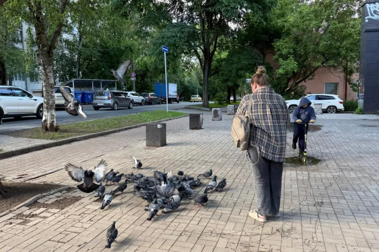Овны достигнут новых вершин, а Водолеям поступят интересные предложения: гороскоп на 23 июня