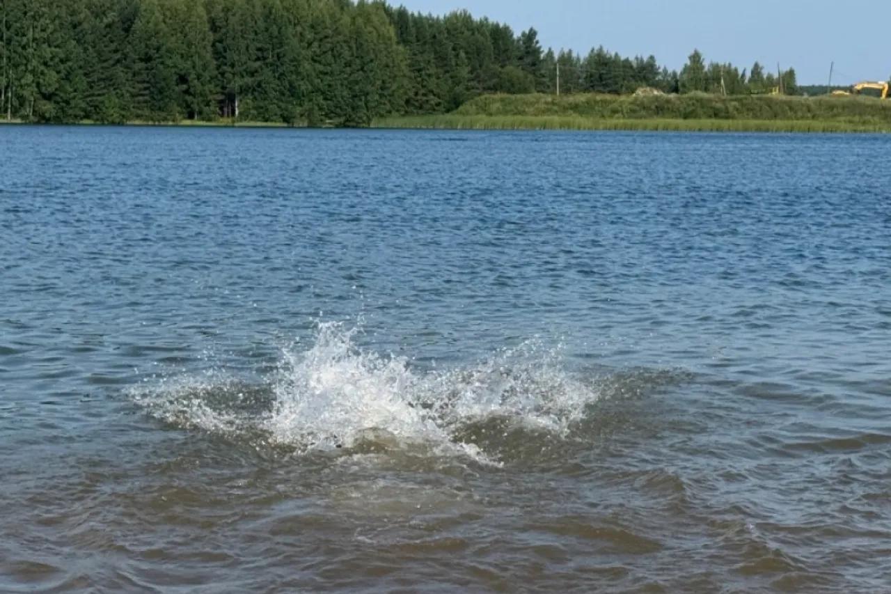 На наш Юг больше ни ногой - опытные туристы нашли другое место: вода теплая, не хамят и в 2 раза дешевле, чем в Сочи и Краснодаре