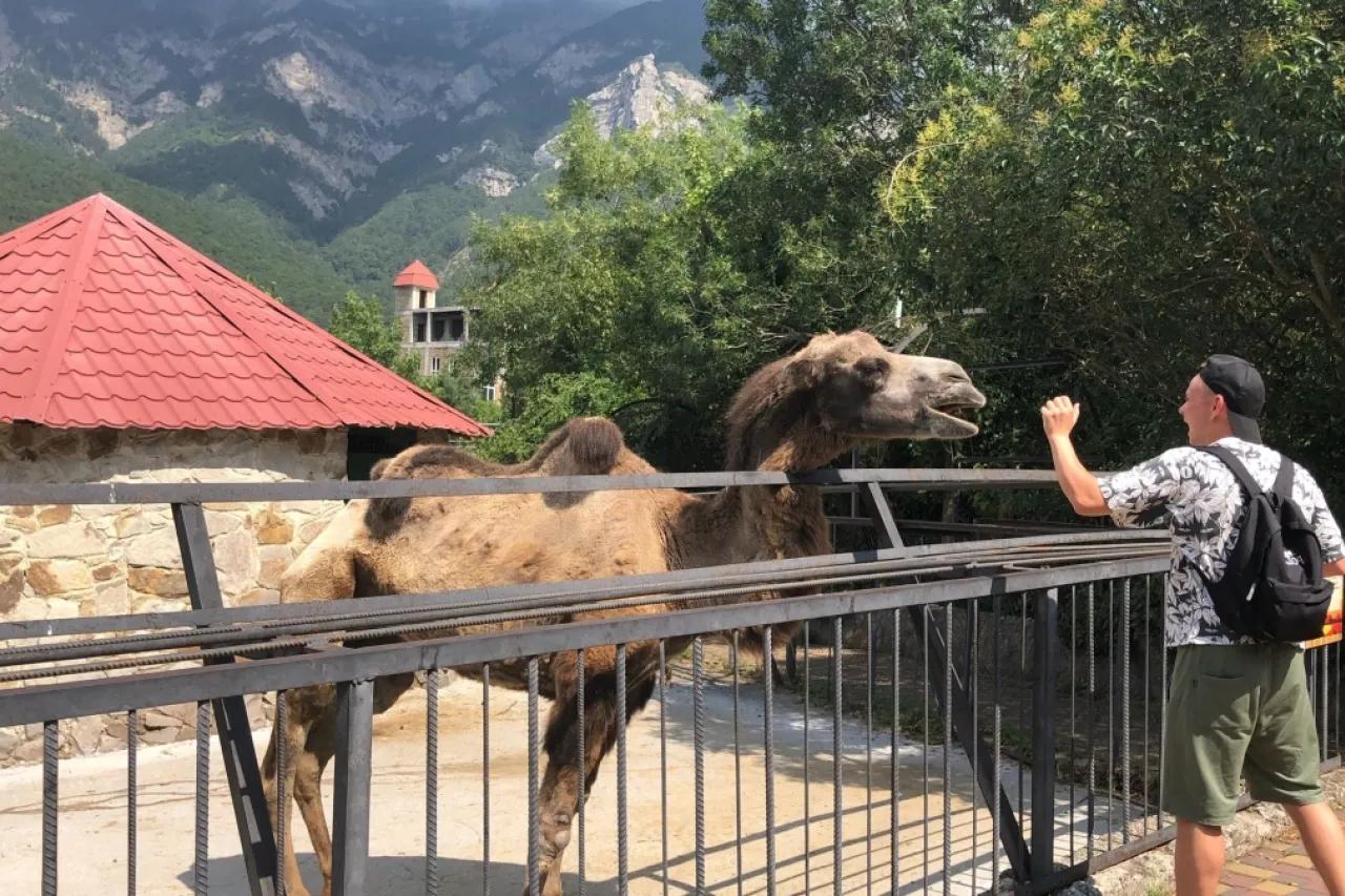 Крым и Геленджик в пролёте: найден самый недорогой курорт на Черноморском побережье для отдыха в 2026