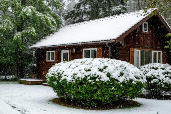 Доставайте пуховики: в Россию снова придут морозы, шторма и гололед - обновленный прогноз