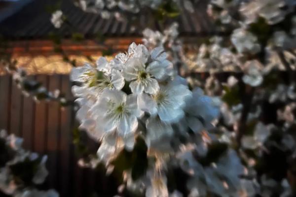 Как россияне будут отдыхать в 2026 году без длинных выходных: майские каникулы сократили