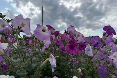 В августе нагрянет климатическая подстава - синоптики обновили прогноз на конец лета