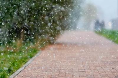 Зима ворвется посреди лета: Вильфанд изменил прогноз с августа - нас ждут неожиданные заморозки