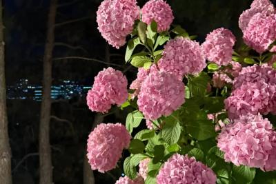 «К нам приближается волна холода»: погода в конце недели заставит тепло одеться, температура резко упадет