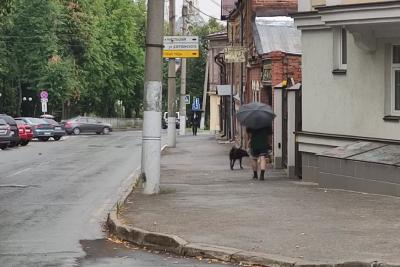 Метеоролог Вильфанд в растерянности: сдавайте билеты, если собрались в отпуск. Обновленный прогноз на август