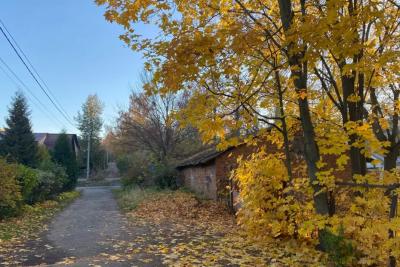 Бабье лето-2025: метеорологи определили, сколько будет длиться летнее тепло