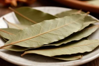 Лавровый лист скупаю пачками: в быту он незаменим, делюсь лучшими хитростями для применения