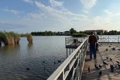 Бабье лето-2025: синоптики указали точные даты и продолжительность летних денёчков