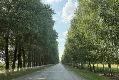 «Октябрь будет абсолютно аномальным». Синоптики сказали, что нас ждёт в середине осени