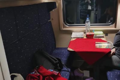 С ребёнком на верхней полке, а рядом дама с псом захватила всё купе: моя поездка не задалась