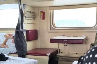 Верхняя «боковушка» у туалета - лучшая: беру всегда это место - и еду как царица