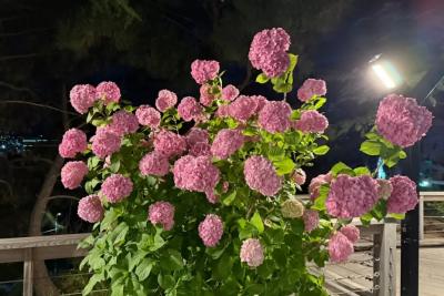 Снова придется надеть куртки: синоптики рассказали о серьезном похолодании до +7 градусов