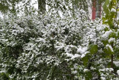 Снежный аккорд наступающей осени: Синоптики объявили о рекордном похолодании в следующих регионах