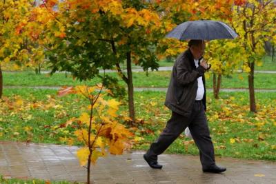 «Бабьего лета не стоит ждать»: какая погода будет осенью и зимой в 2025 году - узнаём по приметам