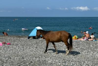 «Зима будет аномальная». Синоптики вновь поделились, к чему быть готовым - прогноз по месяцам