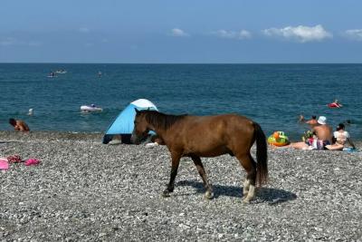 «Зима будет аномальная». Синоптики вновь поделились, чего ожидать - прогноз по месяцам