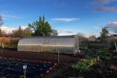 Дачники в панике: синоптики назвали дату, когда холод полностью погубит весь урожай