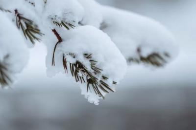 Синоптики сказали, к чему готовиться - прогноз: «Зима будет аномальная»