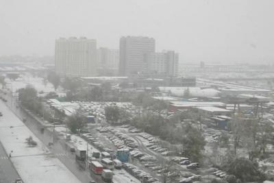 «Декабрь, январь и февраль будут аномально суровыми». Синоптики опубликовали новый прогноз на зиму