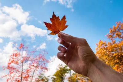 Синоптики подготовили новую информацию: в октябре придёт нечто, чего не было с 1879 года