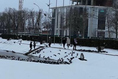 Морозы нагрянут раньше срока: Гидрометцентр назвал жителям России точную дату прихода зимы