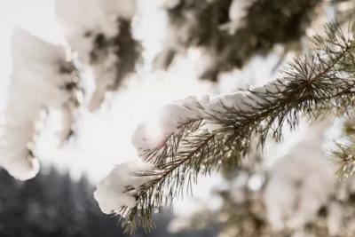 Синоптики поставили новую информацию по прогнозу и сказали к чему готовиться: «Зима будет аномальная»