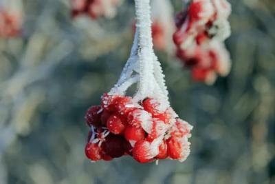 Синоптики опубликовали новую информацию по прогнозу и сказали к чему готовиться: &laquo;Зима будет аномальная&raquo;