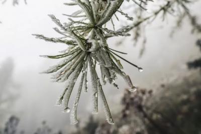 Синоптики подготовили новый зимний прогноз: зимой прогнозируют нечто, которого не видели с самого 1779 года