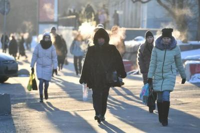 Зима не придет еще долго: Роман Вильфанд предупредил, будет ли снег на Новый год