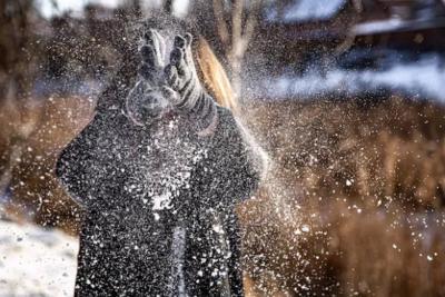 Новую информацию предоставили синоптики - к этому надо готовиться в грядущем сезоне: &laquo;Зима будет аномальная&raquo;