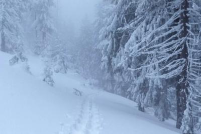 Синоптики подготовили прогноз на начало года: этой зимой прогнозируют нечто, которого не видели с самого 1779 года