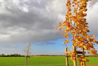 Синоптики рассказали, к чему готовиться россиянам этой осенью: подобной погоды в октябре не было с самого 1879 года