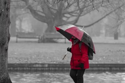 Эти регионы России уйдут под дождь в ноябре: прогнозы неутешительные