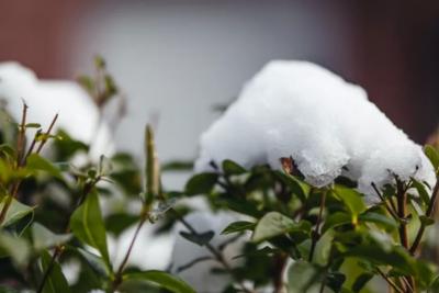 Новую информацию по прогнозу предоставили синоптики - надо готовиться совсем скоро: &laquo;Зима будет аномальная&raquo;