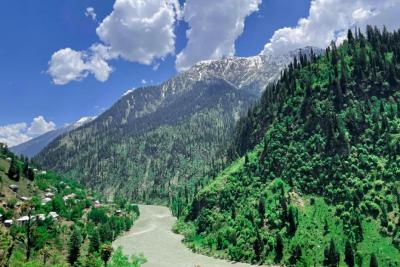В гостях у богатого абхазца: что нам очень понравилось, а что показалось удивительным