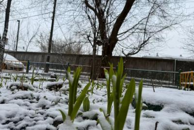 Прощай, дождливый октябрь: синоптики рассказали, что ждет россиян на ноябрьские праздники - точный прогноз