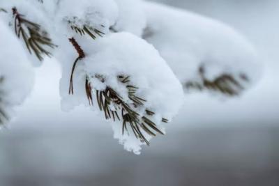Зима-2026 будет нервной: синоптики призвали дачников и пожилых готовиться к худшему - точный прогноз