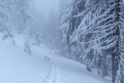 &laquo;Неделя устроит нам испытания&raquo;: Синоптики представили обновлённый прогноз на начала ноября