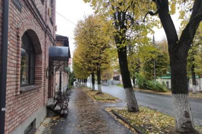 Теплый ноябрь в России: какие регионы ждут аномальные температуры - свежий прогноз Вильфанда