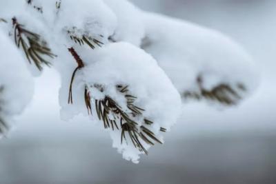 Холод зайдет без стука: Вильфанд сказал, когда в России закончится теплая погода