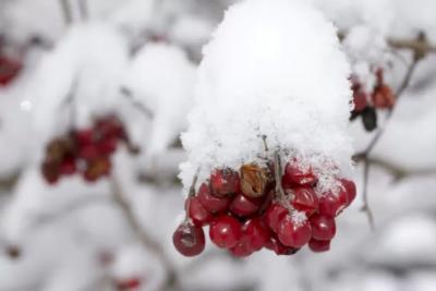 &laquo;Поступили новые данные&raquo;. Синоптики резко изменили прогноз на ноябрь 2025