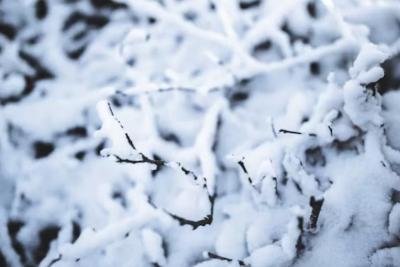 Такого мы точно не ожидали: Россия столкнулась с аномальным потеплением в начале ноября