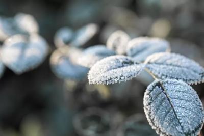 Зима отступает обратно: Вильфанд сообщил россиянам о новой волне тепла в конце 2025 года