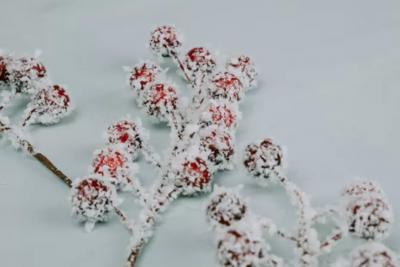 Ноябрь будет аномальным: синоптики раскрыли дату начала крышесносной зимы 2025-2026