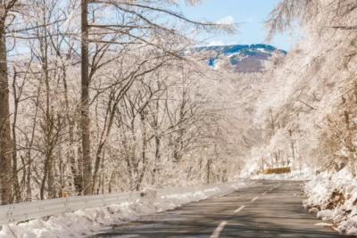 Холод придет резко и без стука: Синоптик Вильфанд сказал, когда для всех закончится теплая погода
