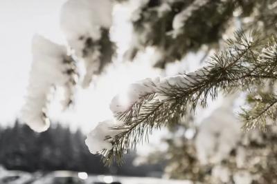 Метеорологи рассказали, к чему готовиться: такой зимы не было 250 лет